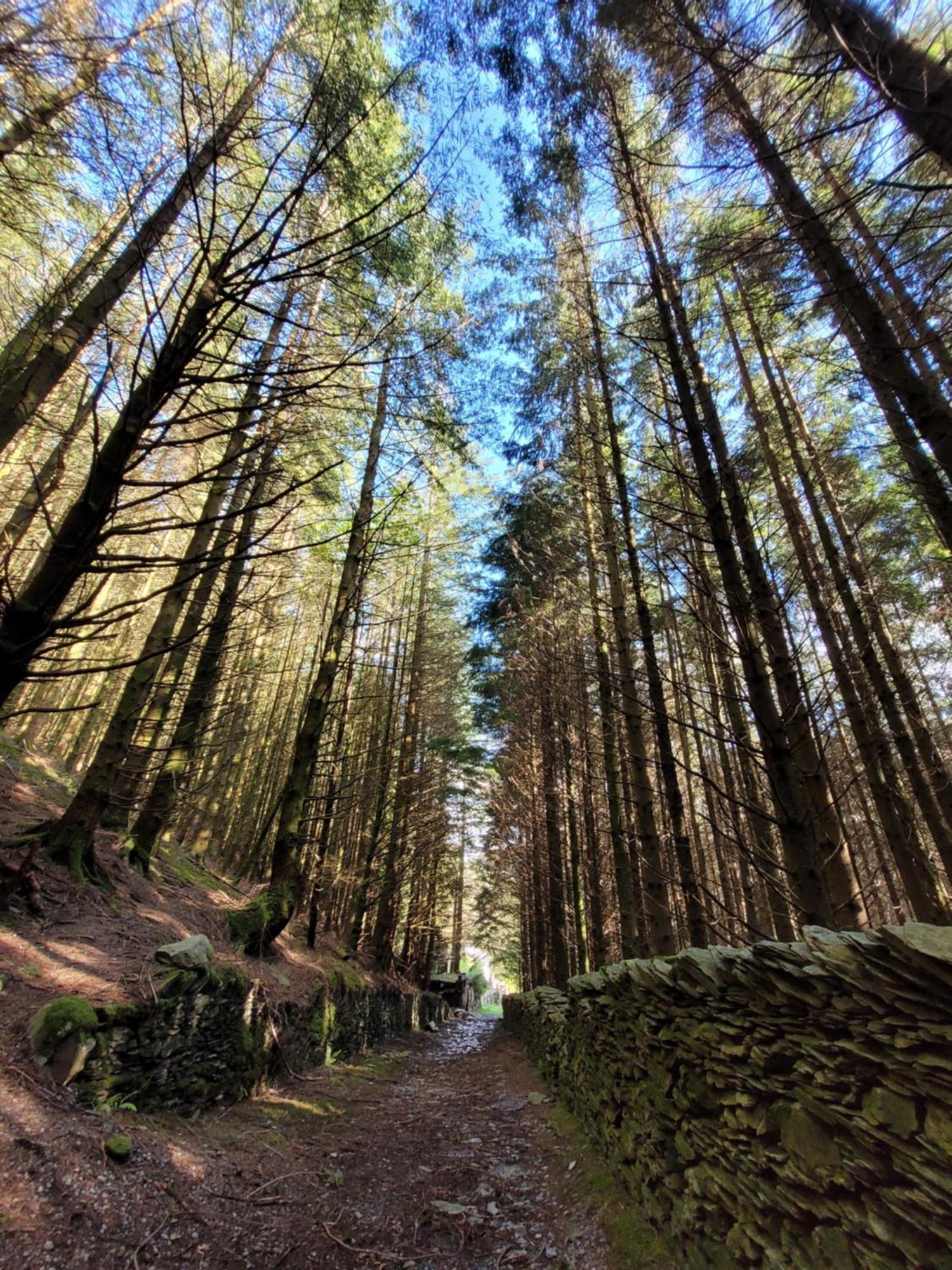 The Granary Corris On The Edge Of The Dyfi Forest Kültér fotó