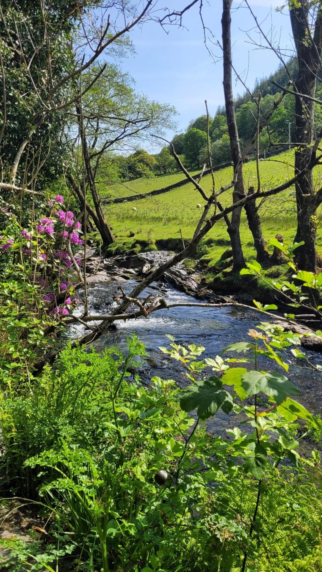 The Granary Corris On The Edge Of The Dyfi Forest Kültér fotó