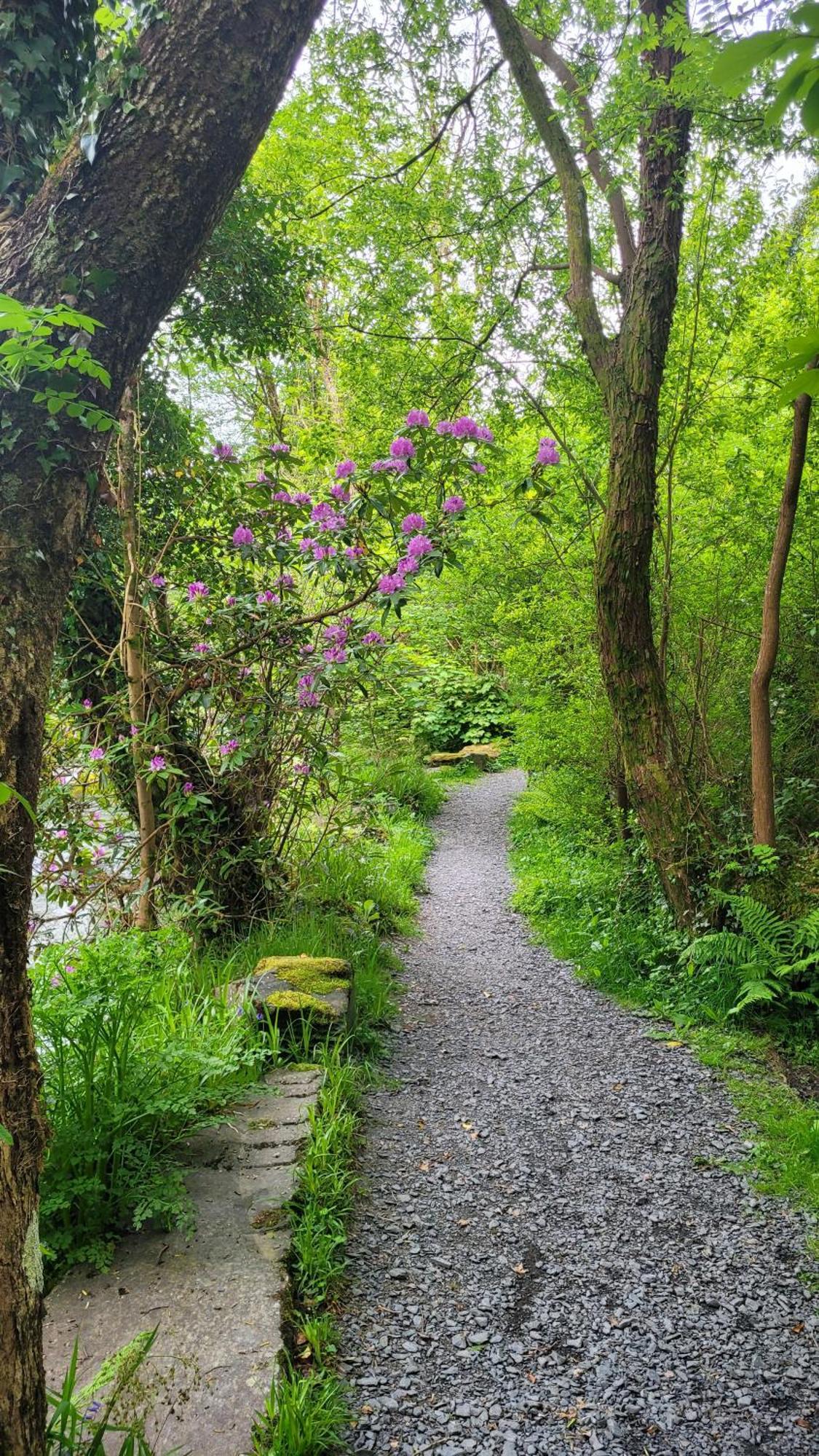 The Granary Corris On The Edge Of The Dyfi Forest Kültér fotó